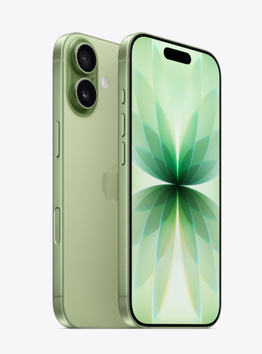 IPHONE 17 256GB- COLOR - SAGE
