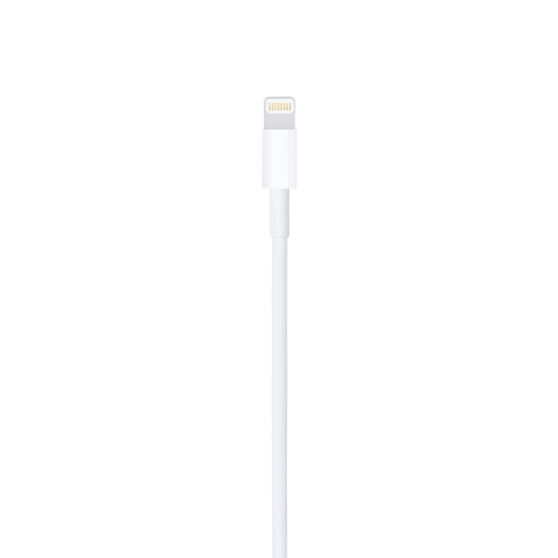 APPLE LIGHTNING TO USB CABLE (1 M)